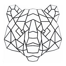 Pin On The Laser Shack Ellen Coff