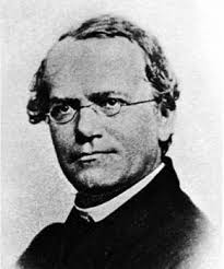 نقاط عطف تاریخی در اکتشافات ژنتیک