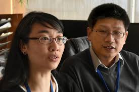 Studying how Zika causes microcephaly