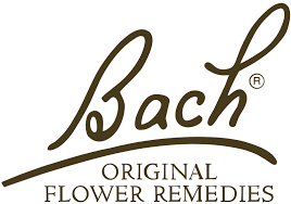 A list of positive affirmations for the bach flower remedies is here. Bach Willow Bach Flower Remedy Flower Essence