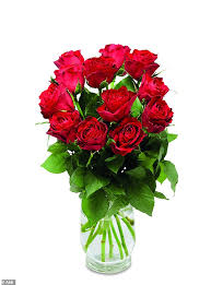 These brands are intended to overcome perceptions of private label items being lower quality. Aldi And Lidl Are Selling 100 Red Roses For Valentine S At A Bargain Price Daily Mail Online