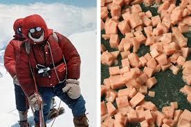 If You Climbed Mount Everest Would You Die