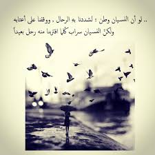 pin by scarlett red on بالعربي أحلى arabic love quotes favorite quotes quotations
