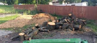 They help to track and monitor threatened species, including grey wolf. Getting Free Wood Chips And Logs Kevinmichaelcoy Com