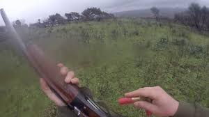 Braccaiolo con muta di cani al cinghiale, alberese. Caccia Al Cinghiale Sardegna 22 01 2017 Youtube
