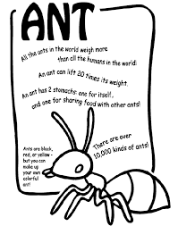 Stats on this coloring page. Ant Coloring Page Crayola Com