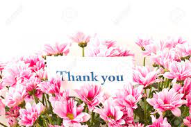 Thank you hand lettering vintage with flowers and. Say Thank You On A Background Of Beautiful Flowers Stock Photo Picture And Royalty Free Image Image 10994385