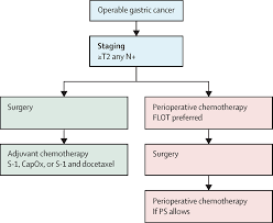 Ge stands for gastroesophageal (ge) junction (also known as gej), which is the lower part of the esophagus that connects to the first part of the stomach, called. Gastric Cancer The Lancet