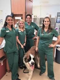When your pet needs personal, professional medical care, come at all pets clinic in lakewood ranch! For The Love Of Pets How Compassion And Expertise Drive Our Veterinary Team Braden River Animal Hospital