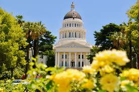 Tax penalty for no health insurance 2019 california. California Legislature Passes Health Insurance Individual Mandate Penalty California Globe