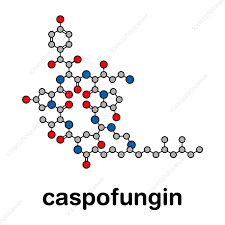 Image result for Caspofungin