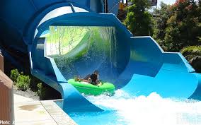 Nature & parks in cromwell. Seaworld San Diego Aquatica Makes A Splash