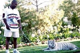 Mike tyson with his pet tiger [image credit: What Happened To Mike Tyson S Pet Tiger