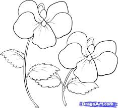 Violet Coloring Pages How To Draw Violets Step 6 Flower Drawing Tutorials Flower Drawing Flower Drawing Tutorial Step By Step