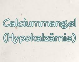 We did not find results for: Calciummangel Symptome Ursachen Folgen Therapie