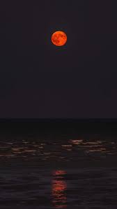 Red Moon On The Beach Wallpaper Iphone Android Background Followme Dark Red Wallpaper Beautiful Wallpapers Dark Wallpaper