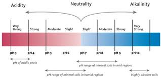 determine soil type and ph landscape for life