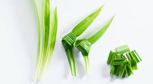 Daun ini seringkali digunakan sebagai penambah cita rasa masakan karena aroma khasnya yang harum. How Much Do You Know About Pandan Leaves The Vanilla Of The East Lifestyle News The Indian Express
