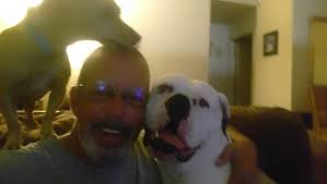 Watching BJ and the Bear DVD set