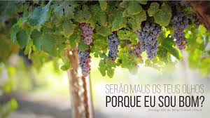 Resultado de imagem para 25º Domingo do Tempo Comum – Ano A