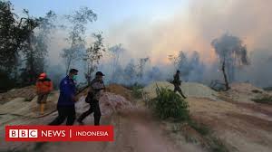 Berikut ini pengertian dari outline (kerangka karangan) adalah sebagai berikut contohnya : Ratusan Hektare Hutan Dan Lahan Di Riau Dilanda Kebakaran Warga Merasa Sesak Bbc News Indonesia