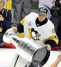 While it was a shortened season, fleury had his best statistical season. Marc Andre Fleury Wikiwand