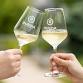 Corks & Canapés Masterclass: Rueda event image