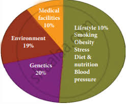 Latest health news and training advice from around the world Read And Understand The Data Presented In The Pie Chart Below On Factors Affecting Health And Write An Article For Your School Magazine Highlighting English Shaalaa Com