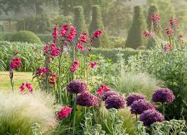 Maybe you would like to learn more about one of these? Stipa Tenuissima Mexican Feather Grass