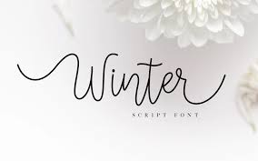 Works best on size 12 and up. Winter Script Font Fontlot Com