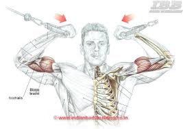 Biceps High Pulley Curls Ibb Indian Bodybuilding Biceps Biceps Workout Pulley Men's physique should add front double bicep pose @supplementkingsny follow them. biceps high pulley curls ibb indian