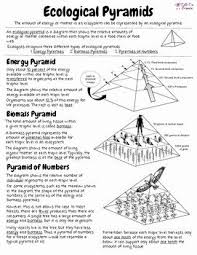 Ecological Pyramids Worksheet Answer Key Fresh Ecological Pyramids By Cell Fie Science In 2020 Ecological Pyramid Energy Pyramid Life Science Lessons