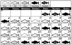 gulf coast fisherman monthly fishing calendars