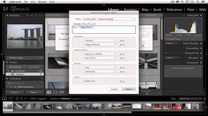 How To Make Your Own Lightroom Presets