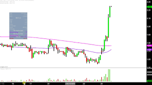 Mgt Capital Investments Inc Mgti Stock Chart Technical Analysis For 11 24 17