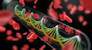 The older hemoccult test finds hidden blood in the stool. Can A Blood Test Detect Cancer In Asymptomatic Patients
