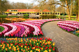 10 foto del più bel giardino di fiori del mondo, senza visitatori per la la fioritura dei tulipani mostra tutta la bellezza della natura. Scopri Il Parco Dei Tulipani In Olanda Keukenhof