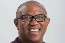 Obidient Movement appoints members into its advisory council, directorates 