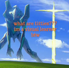 Visual Learner Funny Memes Middle Child Humor Haha Funny