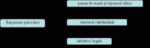 Timpul de muncă și odihnă. Timpul De Odihna