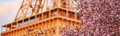 Site officiel de l'ambassade du japon en france. Ambassade Du Japon En France Home Facebook