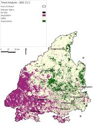 Image result for Elytrophorus globularis