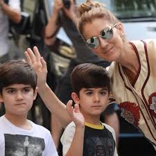 Ce site vous permettra de consulter de façon détaillée les crimes et délits enregistrés en france entre 2012 et 2019 par les services de police nationale et de gendarmerie nationale. Photo A Qui Ressemblent Les Jumeaux De Celine Dion Gala