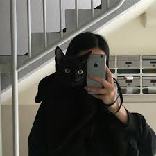 Performance summary at 1920x1080, 4k for 2080 ti and faster. Hyunjin Liked Your Post êœ±á´‹á´¢ ÊœÊœá´Š Cat Aesthetic Cute Cat Gif Cute Animals