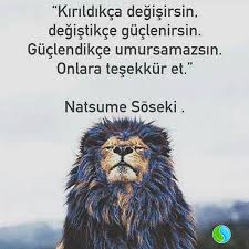 Artik Tek Bir Umudum Bile Kalmadi Diyen Birinin Aslinda Aydinligin Tam Esiginde Oldugunu Fark Etmesini Dileyerek On Guzel Soz Pozitif Dusunceler Gercekler