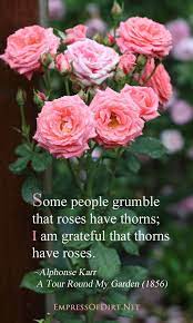 What S Your Superpower Empress Of Dirt Flower Quotes Garden Quotes Rose Quotes