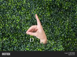 Maybe you would like to learn more about one of these? Sign Language Letter D Image Photo Free Trial Bigstock
