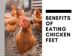 I have made these chicken nuggets several times now and each time they are met with rave reviews from my family and friends. Are There Any Benefits In Eating Chicken Feet Delishably