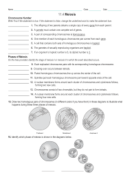 Meiosis is reduction division that occurs only in germ cells where gametes are produced with half the chromosome number to that of the parent cell. 11 4 Meiosis
