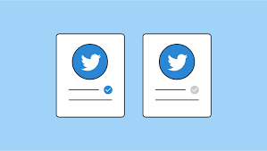 Sports info solutions job categories. Understanding Twitter Verification In 2020 Sprout Social